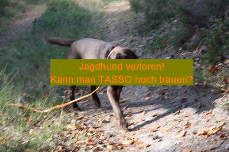 TASSO e.V. – gegen Jagd und Traditionen